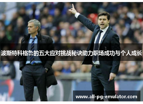 波斯特科格鲁的五大应对挑战秘诀助力职场成功与个人成长