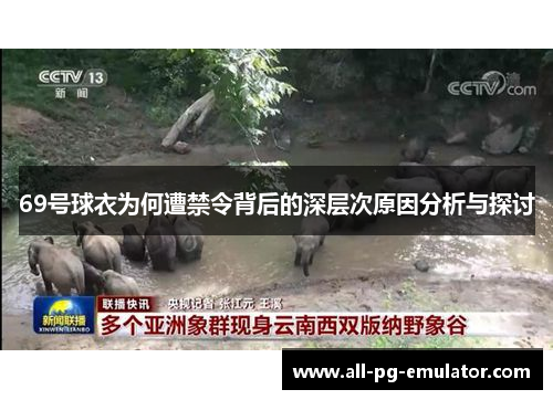 69号球衣为何遭禁令背后的深层次原因分析与探讨