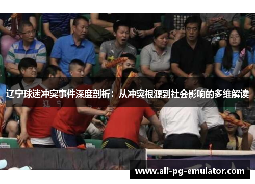 辽宁球迷冲突事件深度剖析:从冲突根源到社会影响的多维解读 辽宁球迷冲突事件深度剖析:从冲突根源到社会影响的多维解读