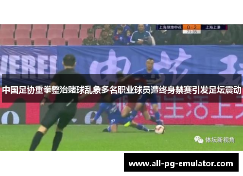 中国足协重拳整治赌球乱象多名职业球员遭终身禁赛引发足坛震动 中国足协重拳整治赌球乱象多名职业球员遭终身禁赛引发足坛震动